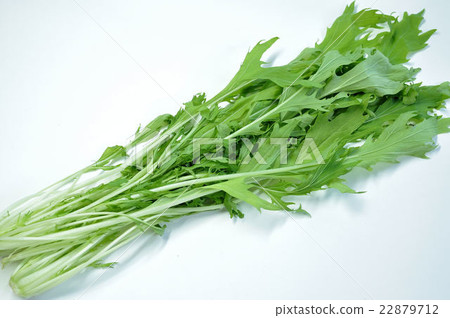 Kei Mizuki Kei Mizuki 22879712