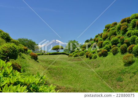 Mori and Mt. Fuji of the New Green Yamanaka Castle Ruin Park Mori and Mt. Fuji of the New Green Yamanaka Castle Ruin Park 22880075
