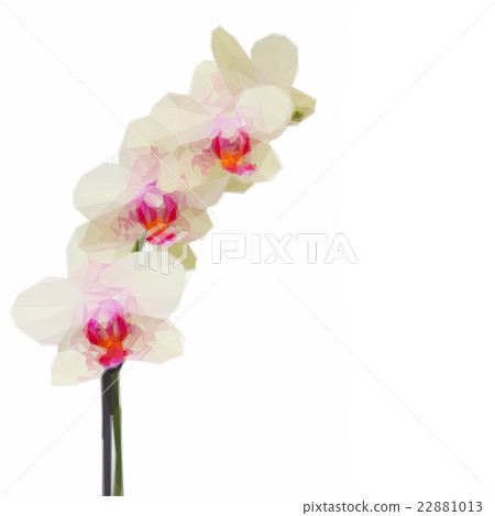 white with violet orchid flowers branch 22881013