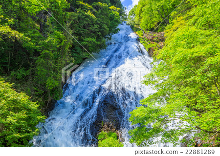 日光新鮮的綠色瀑布 日光新鮮的綠色瀑布 22881289