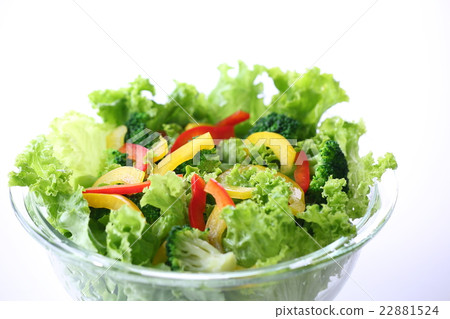 vegetable salad	 22881524