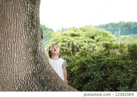 A child looking up at a big tree 22882069