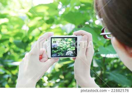 digital camera digital camera 22882576