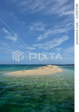 巴拉斯島在初夏 22883586