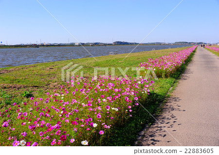 Mizumaki鎮的宇宙 22883605