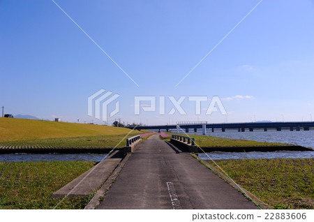 Cosmos of Mizumaki Town 22883606