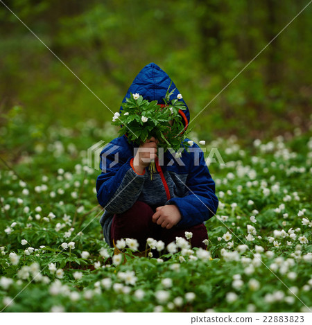 little boy in spring forest with many flowers 22883823