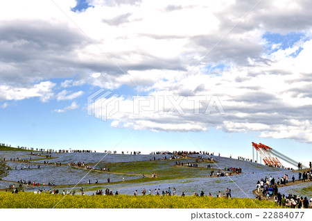 國有的日立海灘公園 22884077