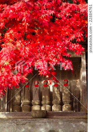 Jizo和Momiji 22884761