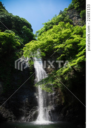 Minoh in early summer Minoh in early summer 22885133