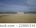 Wheat field of Shiga 22885334