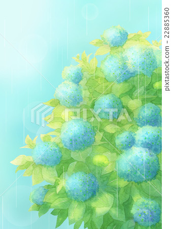 Hydrangea rain vertical (blue) Hydrangea rain vertical (blue) 22885360