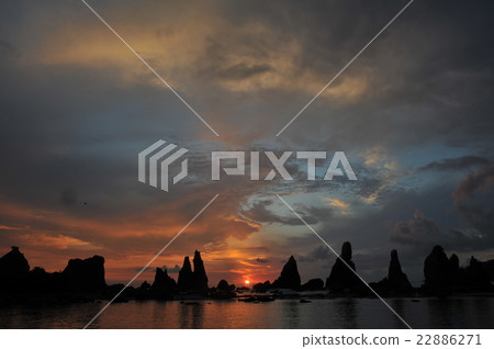 Hashikui Hashikui 22886271