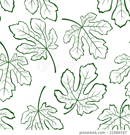Seamless Background, Fig Leaves 22886587