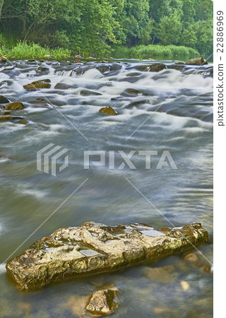 Rivers and trees 22886969