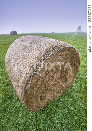 Silage on meadow Silage on meadow 22887131