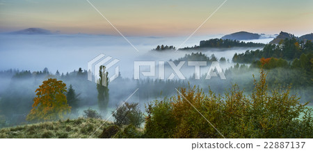 Foggy morning in the landscape 22887137