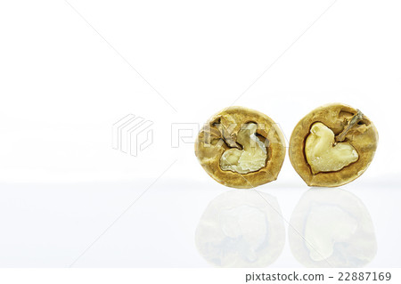 Two halves walnuts isolated Two halves walnuts isolated 22887169