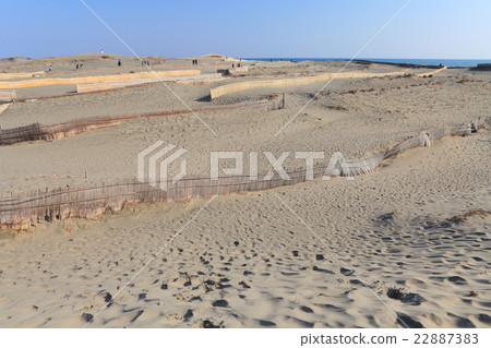 Nakadashima sand dune 22887383