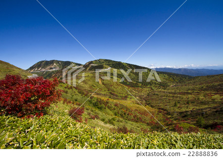 Fall of Yamada Pass 22888836