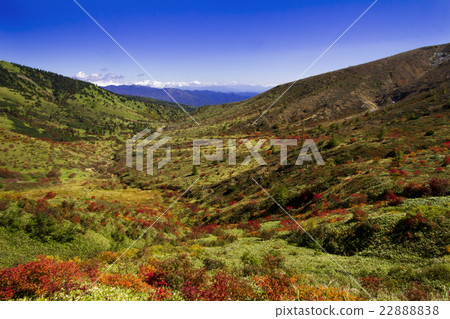 Fall of Yamada Pass 22888838