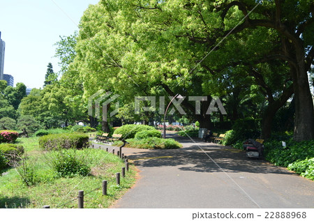 日比谷公園 22888968
