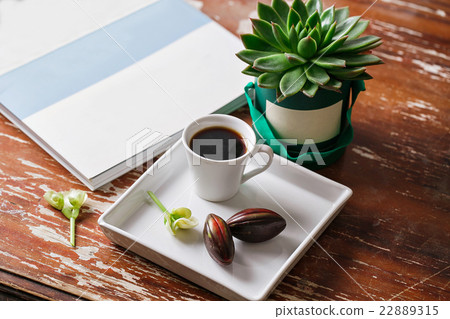 Cup of coffee and cactus on green box background 22889315