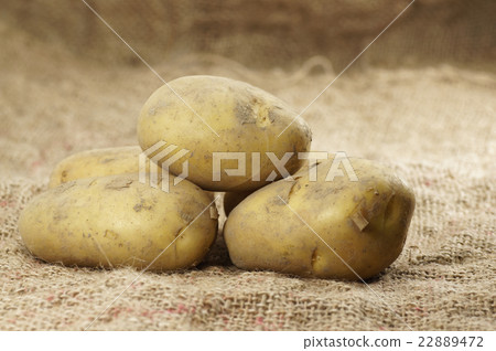 Close up of Potatoes Close up of Potatoes 22889472