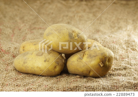 Close up of Potatoes Close up of Potatoes 22889473