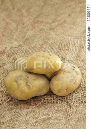 Close up of Potatoes 22889474