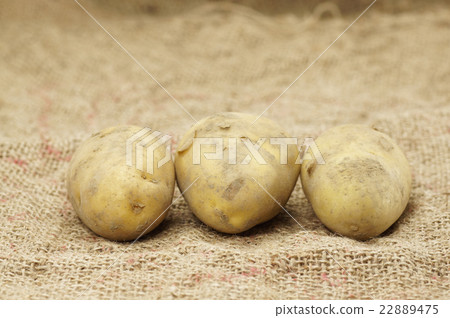 Close up of Potatoes Close up of Potatoes 22889475