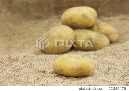 Close up of Potatoes Close up of Potatoes 22889476