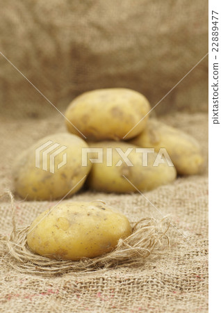 Close up of Potatoes 22889477