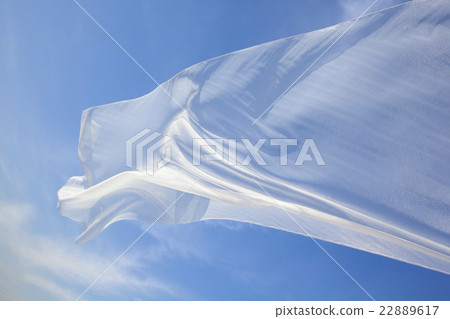 布衣在風中 布衣在風中 22889617