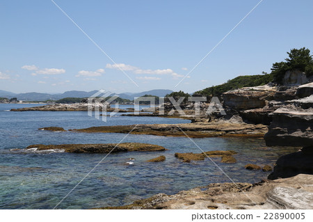 Senjojiki Senjojiki 22890005