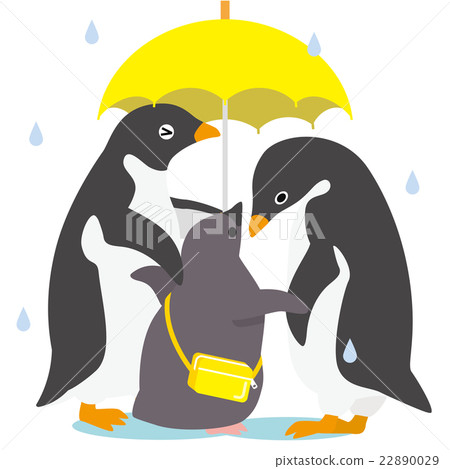 Adelie penguin rainy day family 22890029