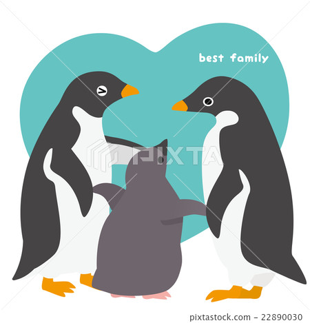 Adelie penguin family 22890030