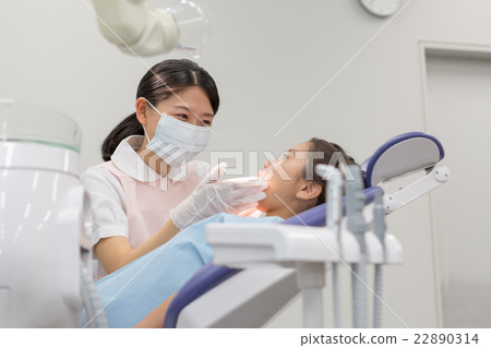 dental hygenist, dental examination, female 22890314