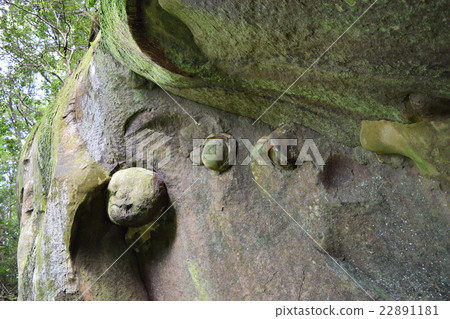 Dear Rumiko Rumiko 22891181