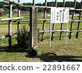 土屋昌吉的石碑（長野縣的長石柵欄，Shitara音樂戰場） 22891667