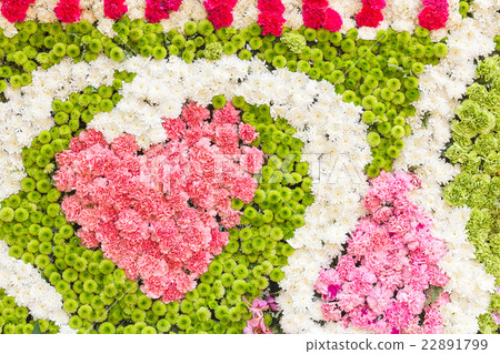 Multi-coloured of flower Multi-coloured of flower 22891799