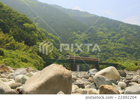 Fresh green of the Gotemba line 22892204