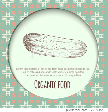 Hand drawn cucumber over white background Hand drawn cucumber over white background 22894546