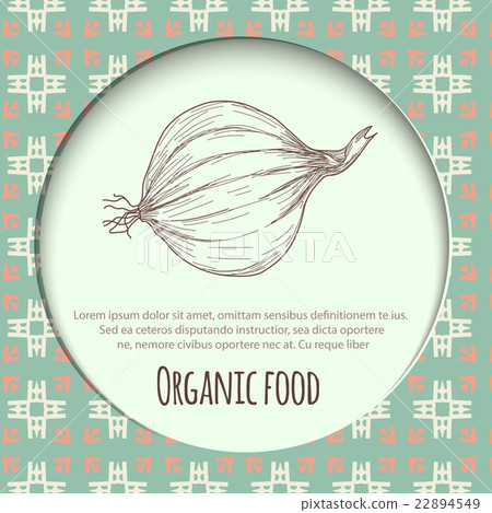 Hand drawn onion over white background 22894549