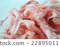 Pork slice 22895011