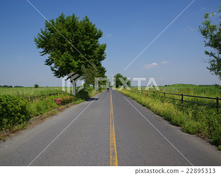 Horizontal path through the blue sky and green straight through Horizontal path through the blue sky and green straight through 22895313