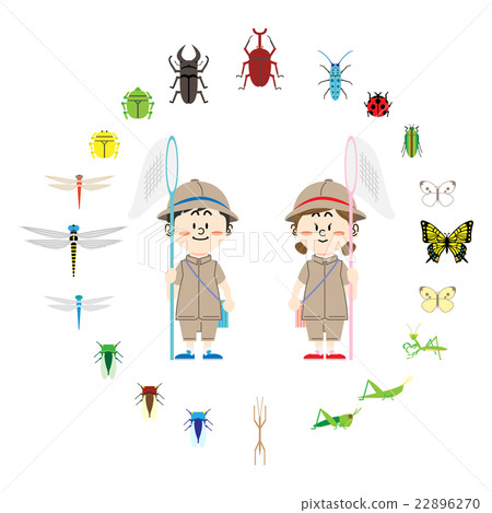 Let's go to collect insects 22896270