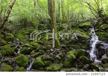 Source point of the Shimanto River, Tsuno Town, Kochi Prefecture Source point of the Shimanto River, Tsuno Town, Kochi Prefecture 22897125