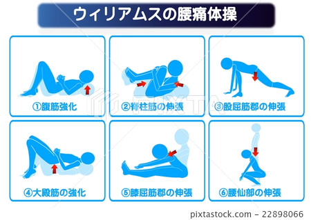 Williams Back Pain Exercises Stock Illustration