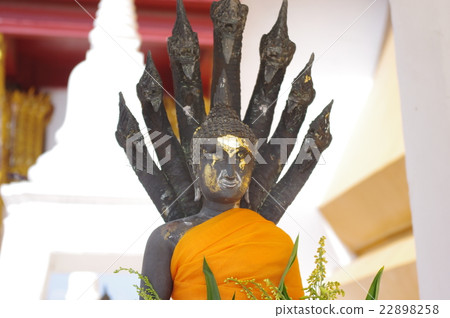 Buddha statue of Thai temples 22898258